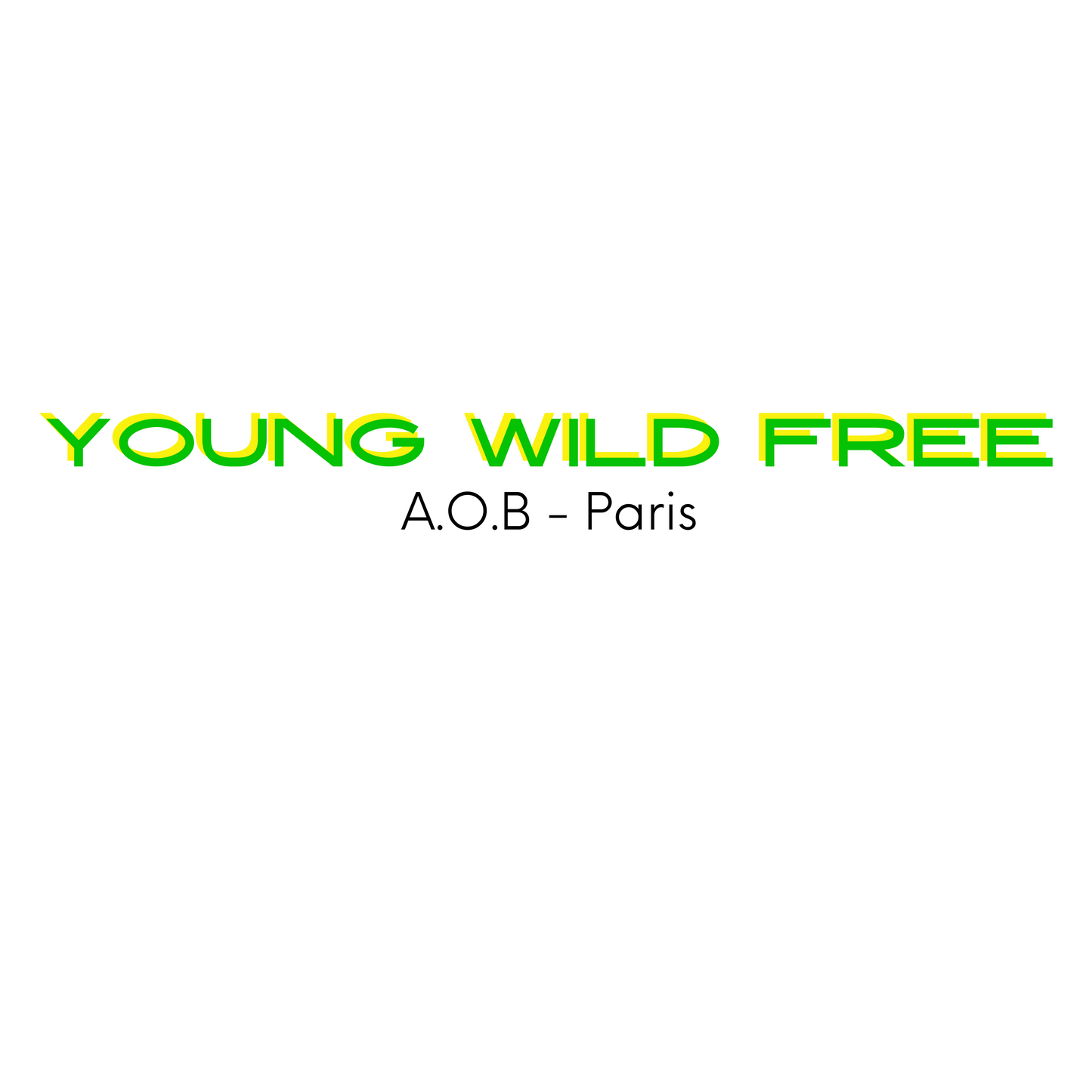 THE "YOUNG WILD & FREE" LONG SLEEVE T-SHIRT