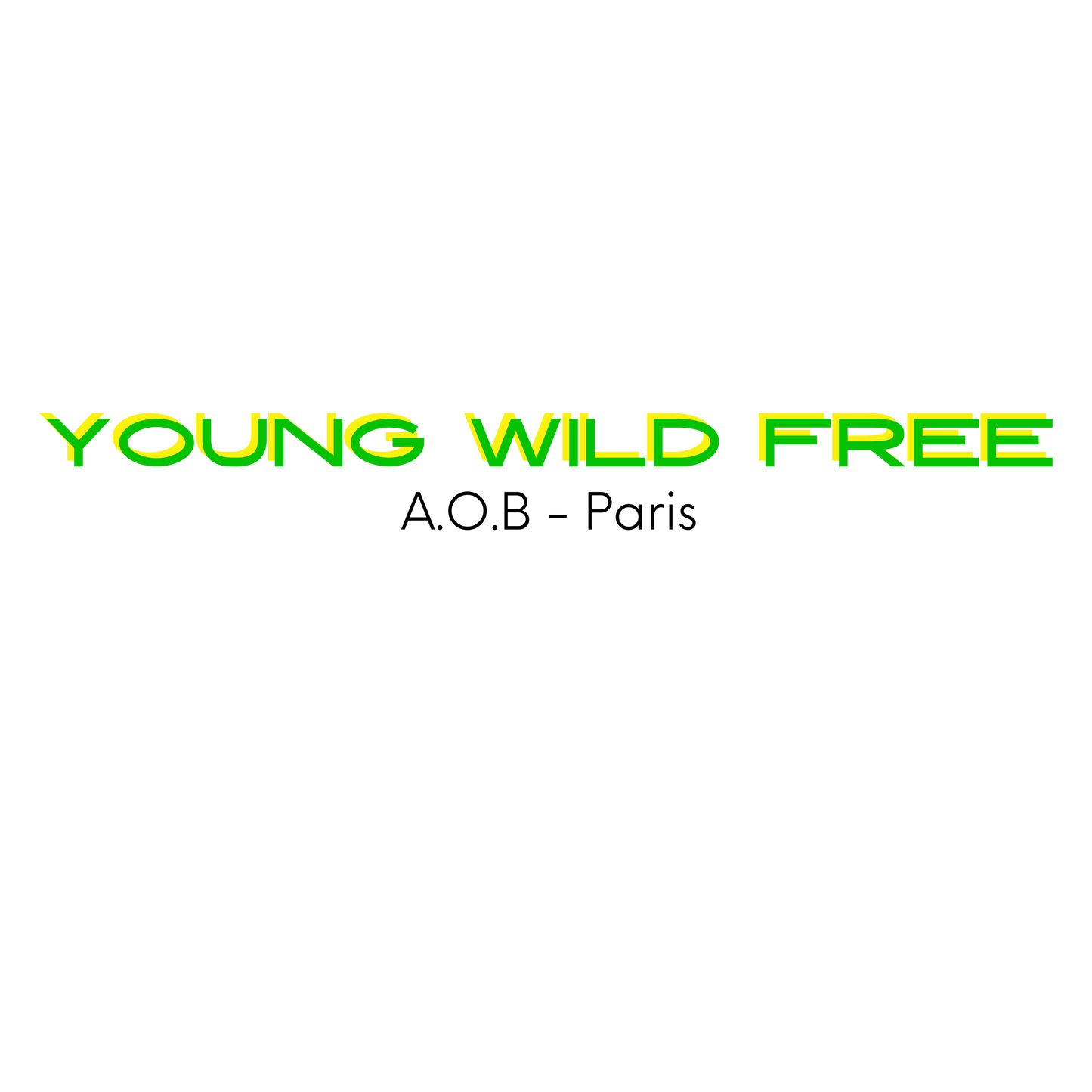 THE "YOUNG WILD &amp; FREE" SWEATSHIRT 